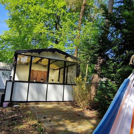"Dennenhuisje" Op Bospark Ijsselheide Hattemerbroek Exterior photo