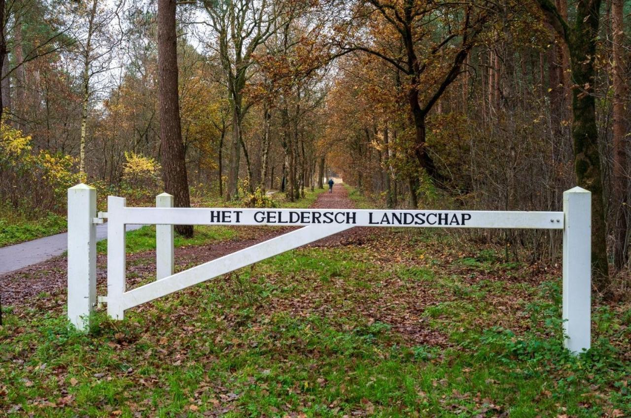 "Dennenhuisje" Op Bospark Ijsselheide Hattemerbroek Exterior photo